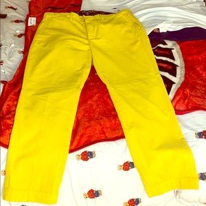 Ralph Lauren rugby👖